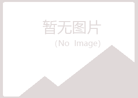 宁夏曼山咨询有限公司